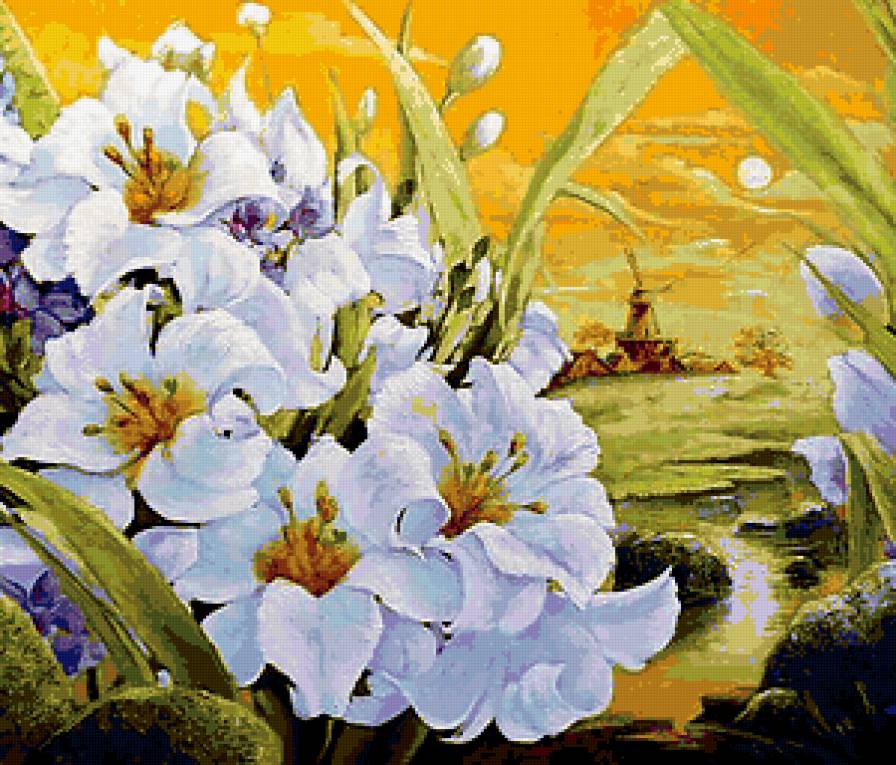 красота - цветы - предпросмотр