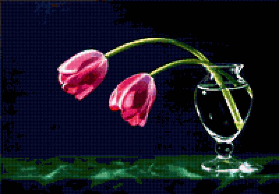 tulips - cvety - предпросмотр