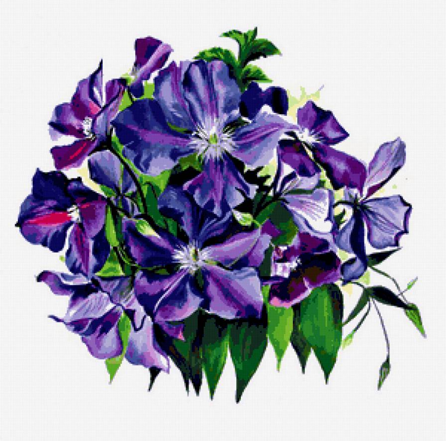 Серия "Букет" - цветы, букет, клематисы - предпросмотр