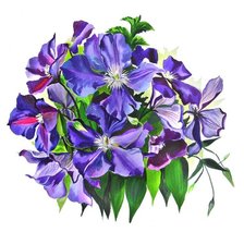 Схема вышивки «Серия "Букет"»