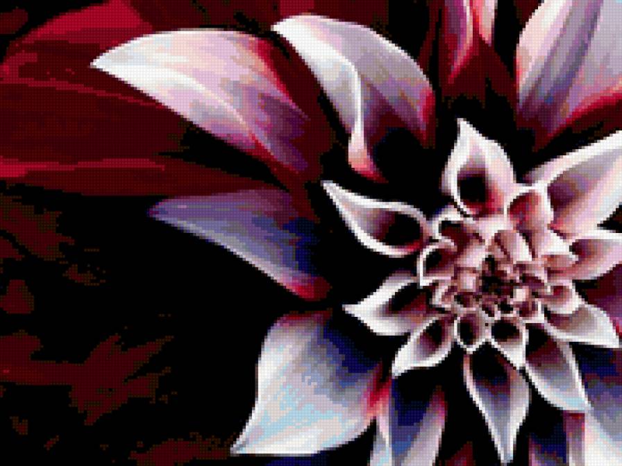 КРАСНЫЙ ГЕОРГИН - цветы, белый, красный, георгин - предпросмотр