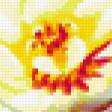 Предпросмотр схемы вышивки «цветы» (№268871)