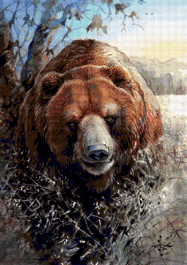 Бурый - медведи, пейзаж, животные, снег, зима - предпросмотр