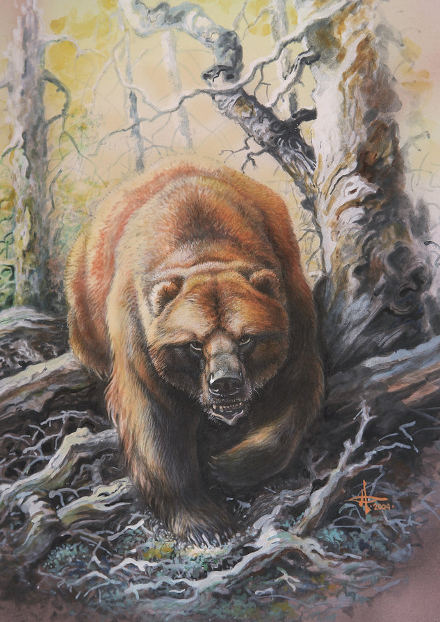 Мишка - животные, медведи, пейзаж - оригинал