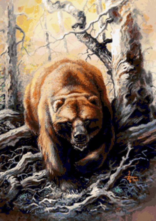 Мишка - животные, медведи, пейзаж - предпросмотр