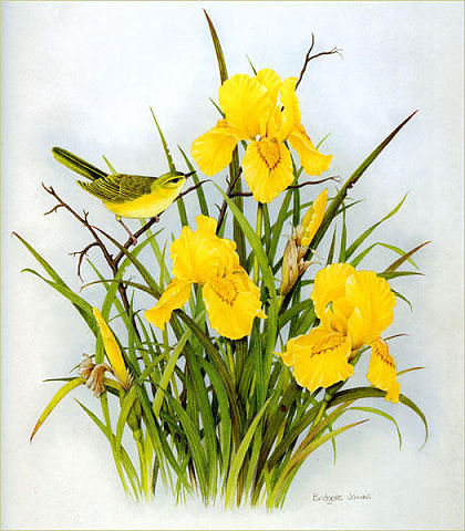 №269086 - оригинал