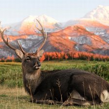 красота природы