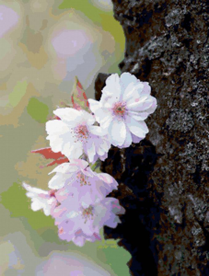 Вот и весна. - цветы - предпросмотр