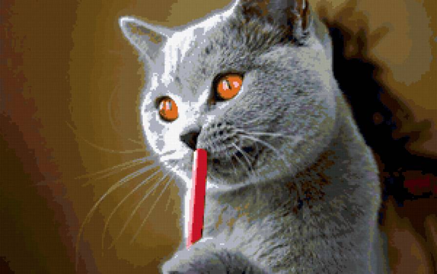 кошка - кошки - предпросмотр