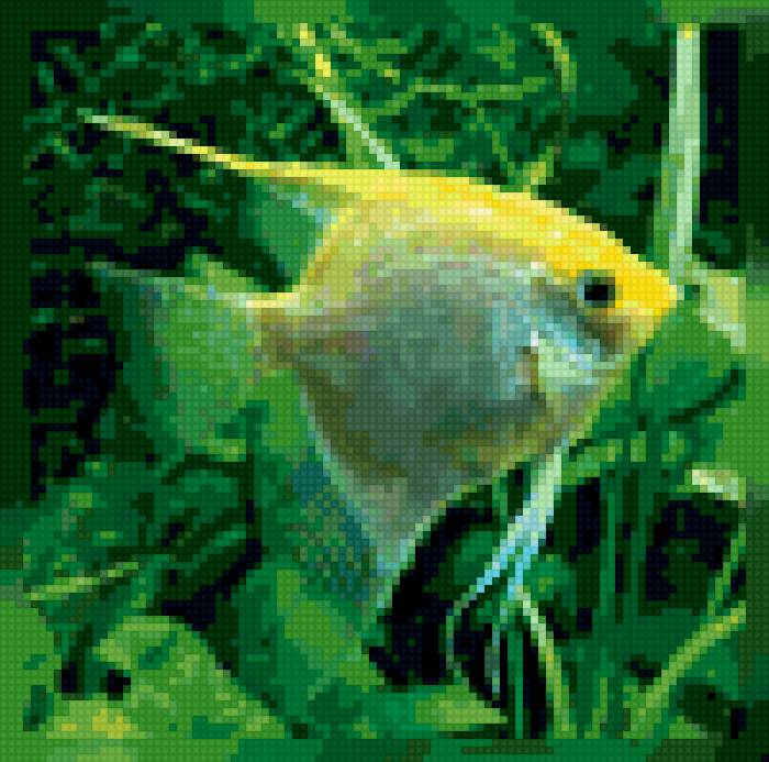 рыбка - предпросмотр