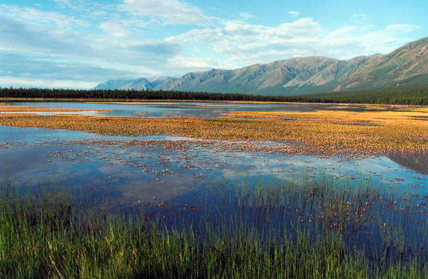 пейзаж - оригинал