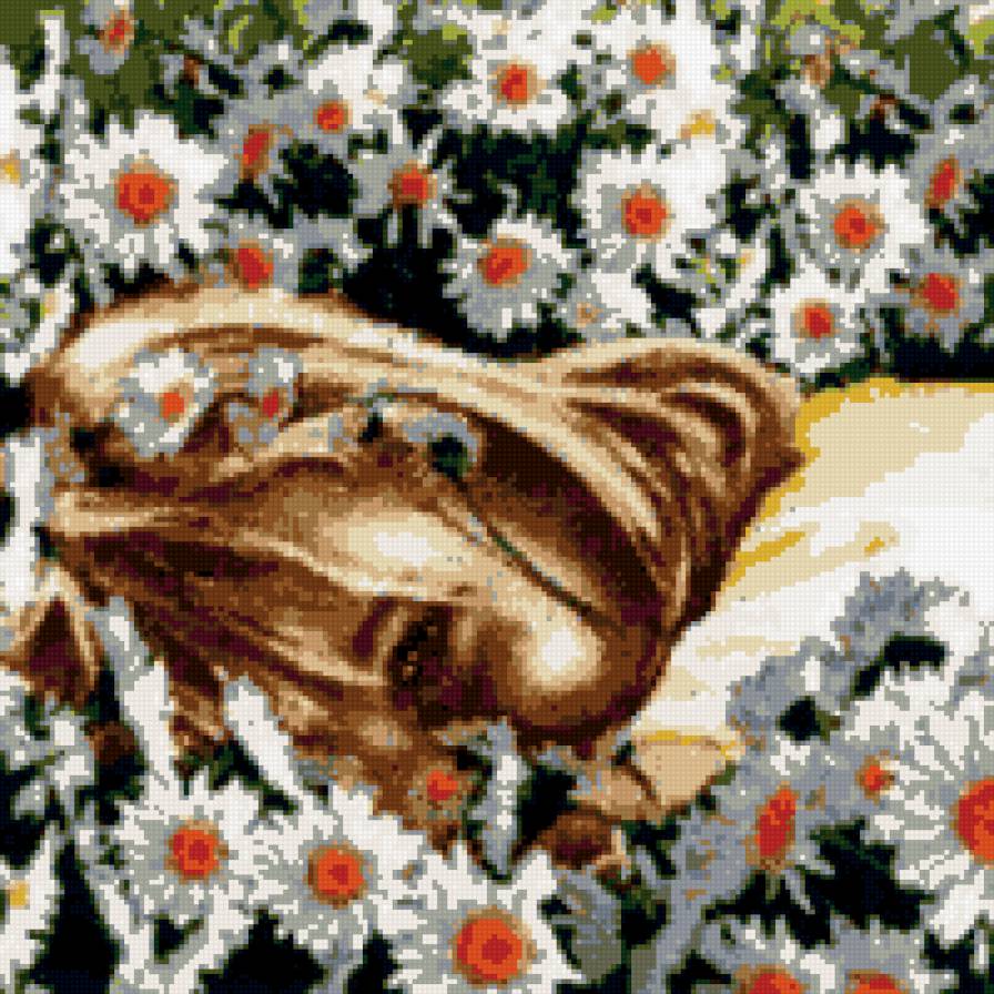 ромашки - предпросмотр