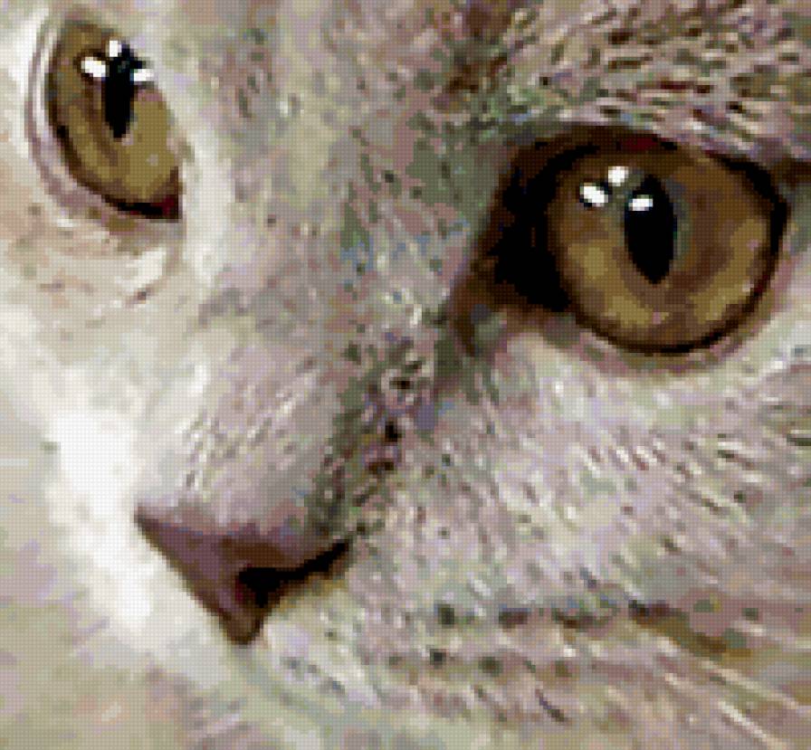 КОШАЧЬЯ МОРДОЧКА - животные, кошки, серые - предпросмотр