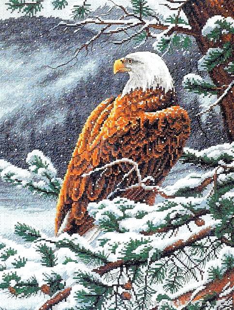 Орел - сосна, орел, снег, горы - оригинал