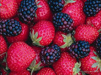 №269545 - ягоды, овощи, кухня, фрукты - оригинал