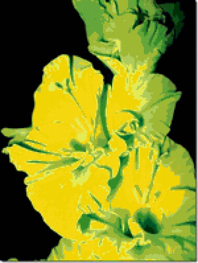 ГЛАДИОЛУС - предпросмотр