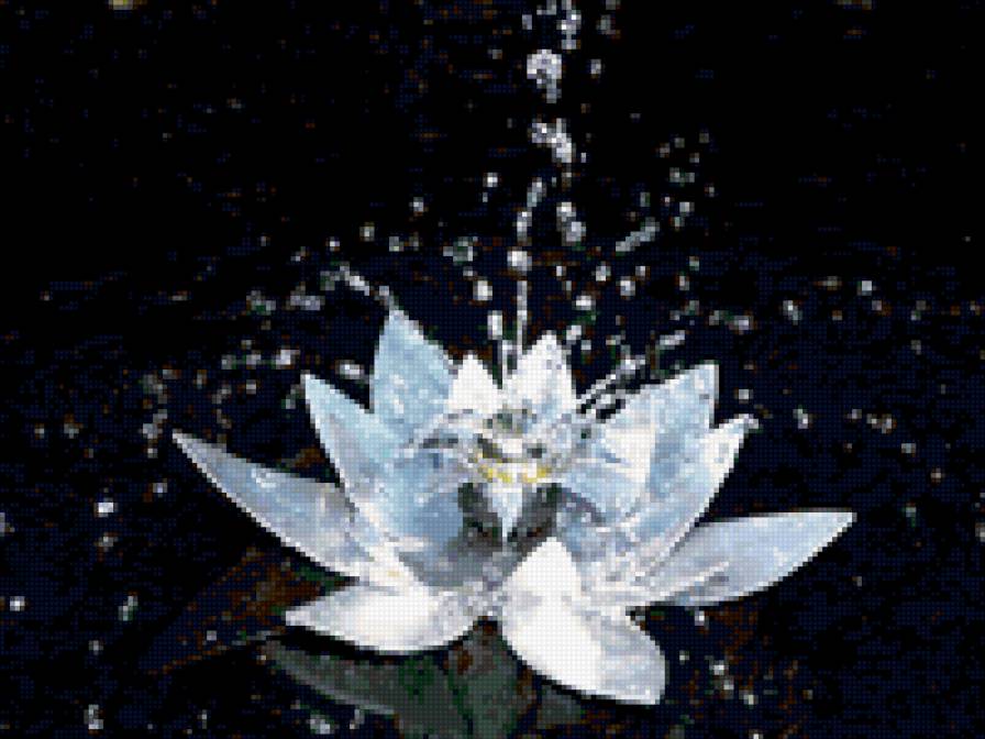 004 - цветы - предпросмотр