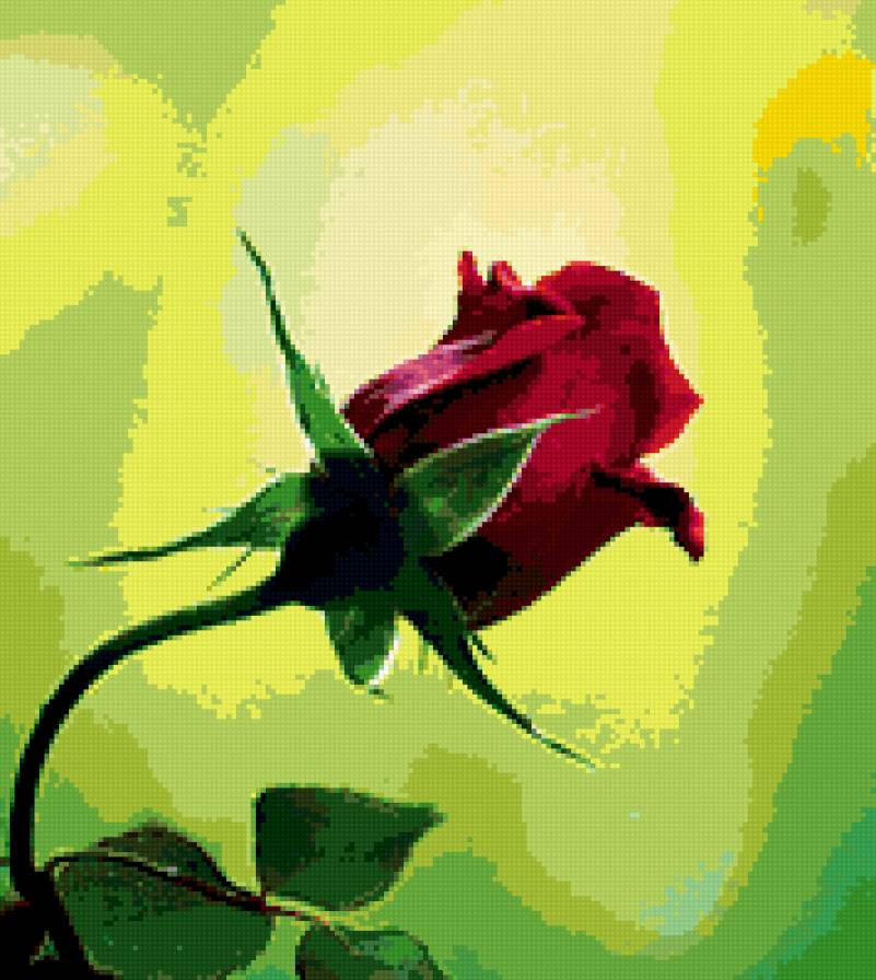 Красная роза - роза - предпросмотр