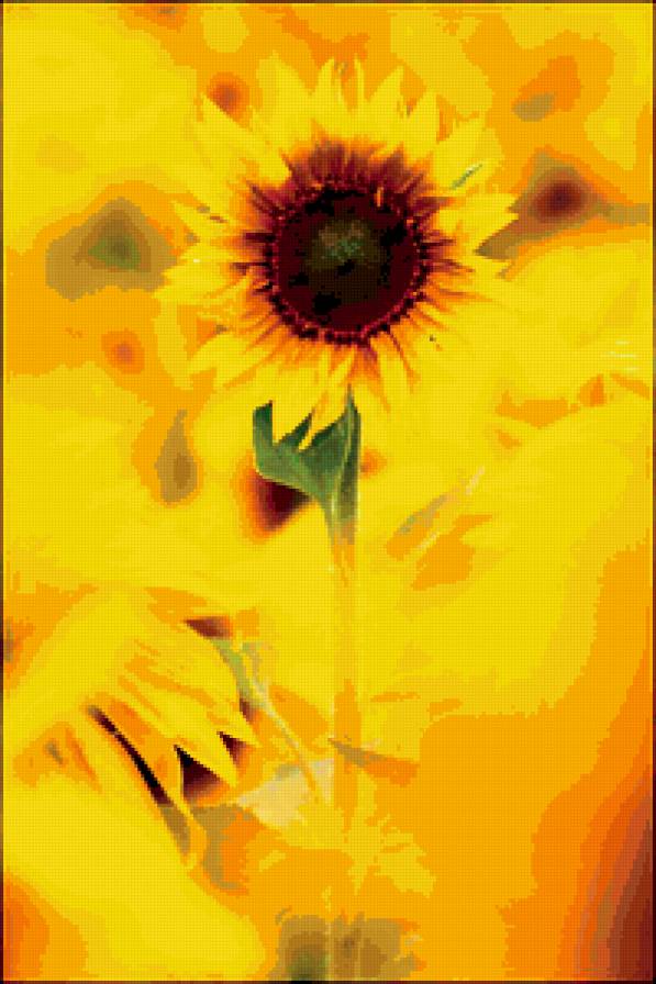 Подсолнух - цветы - предпросмотр