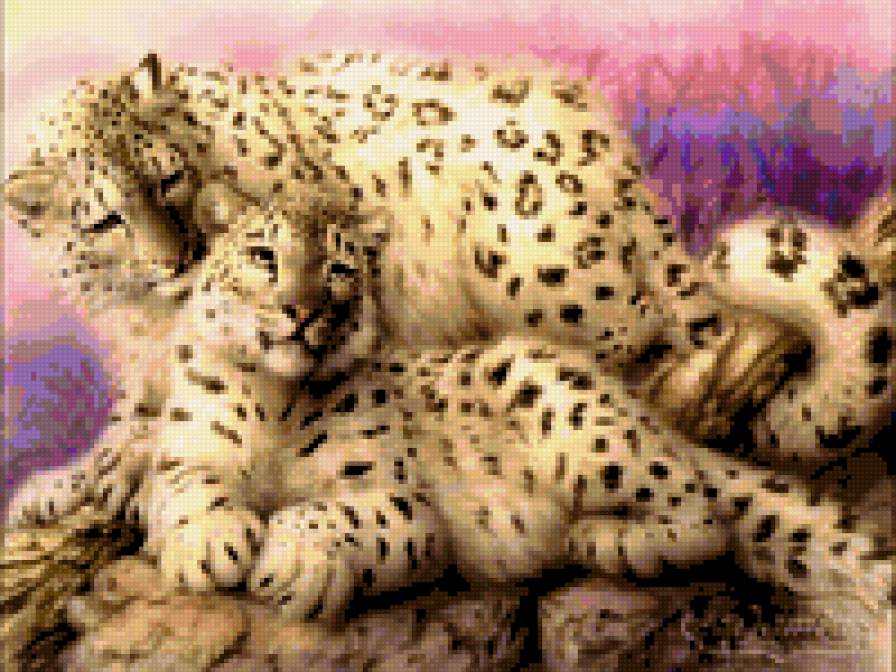 снежный барс - коты - предпросмотр