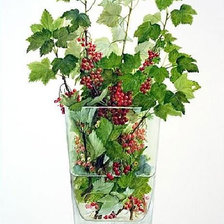 Схема вышивки «букетик»