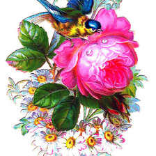 Оригинал схемы вышивки «птица на цветах» (№269743)