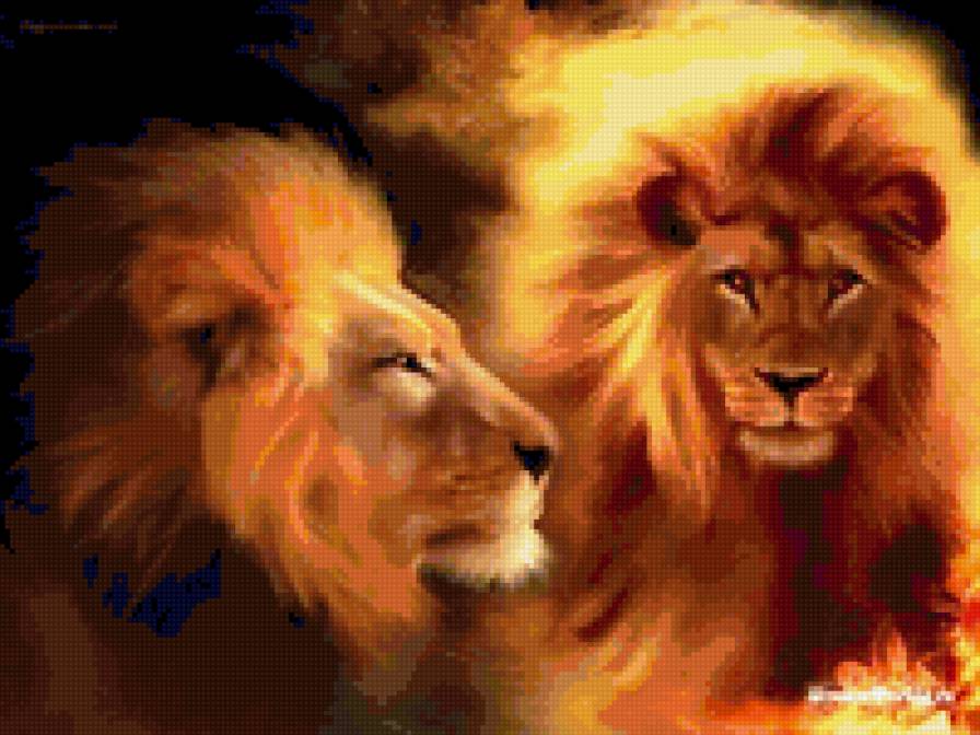 львы - львы - предпросмотр