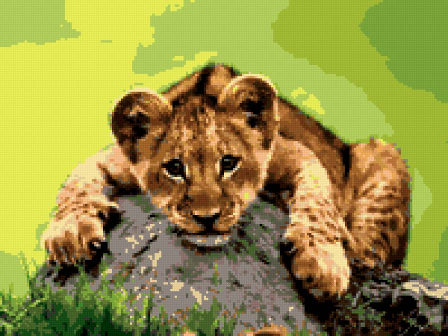 лёва - предпросмотр