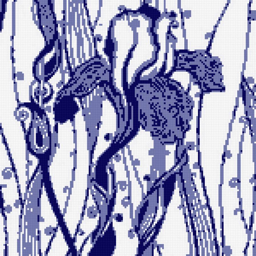 ирисы - предпросмотр