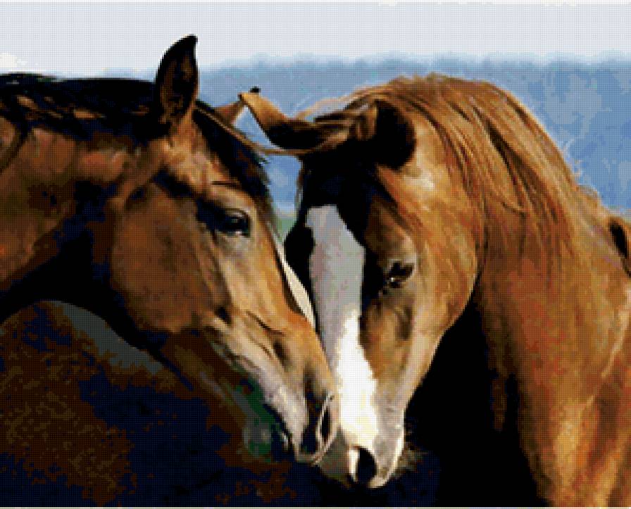 лошади - предпросмотр