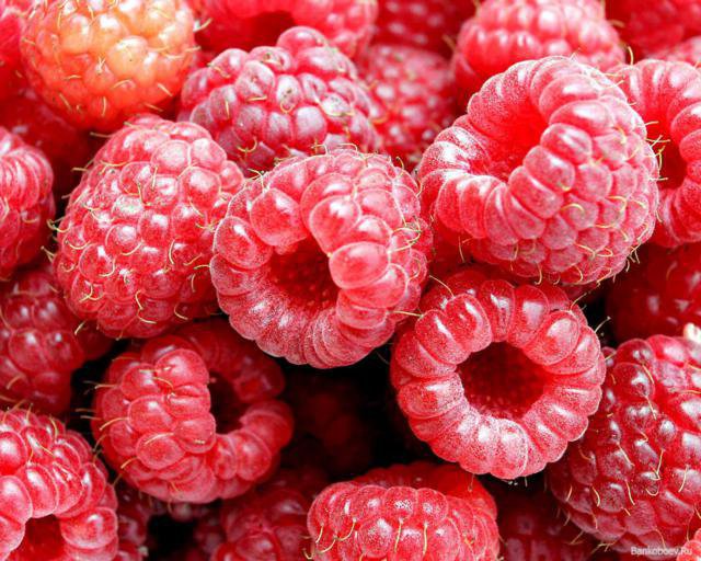 СЛАДКАЯ МАЛИНА - малина, ягоды - оригинал