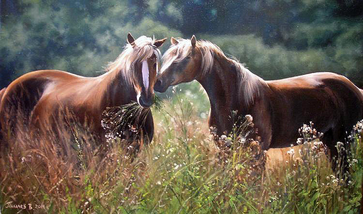Серия "Кони" - животные, пейзаж, лето, кони, лошади - оригинал