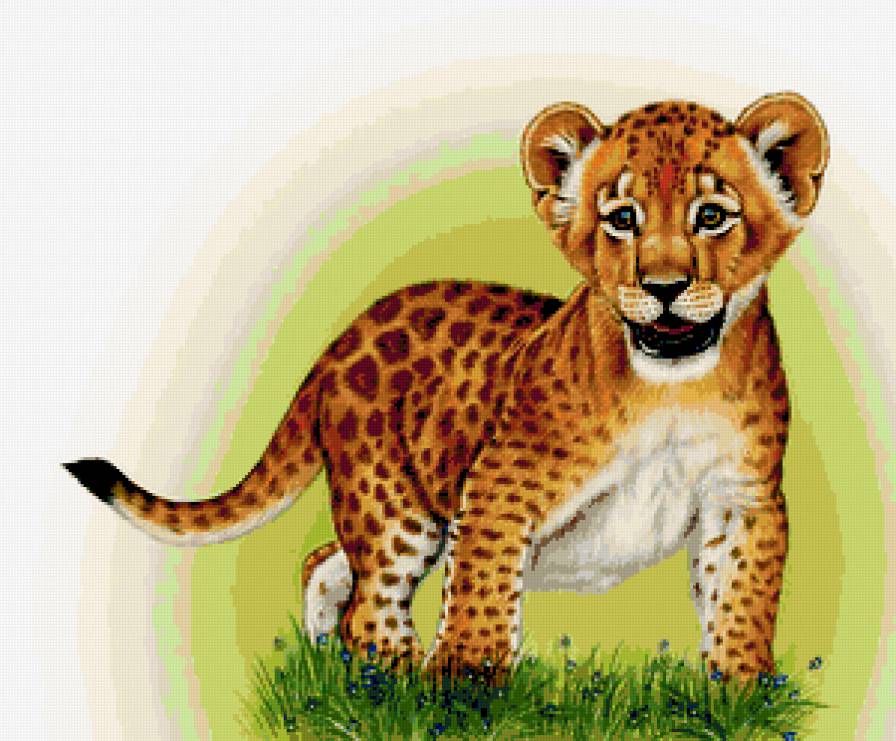 Серия "Большие кошки" - кошки, животные, леопарды - предпросмотр