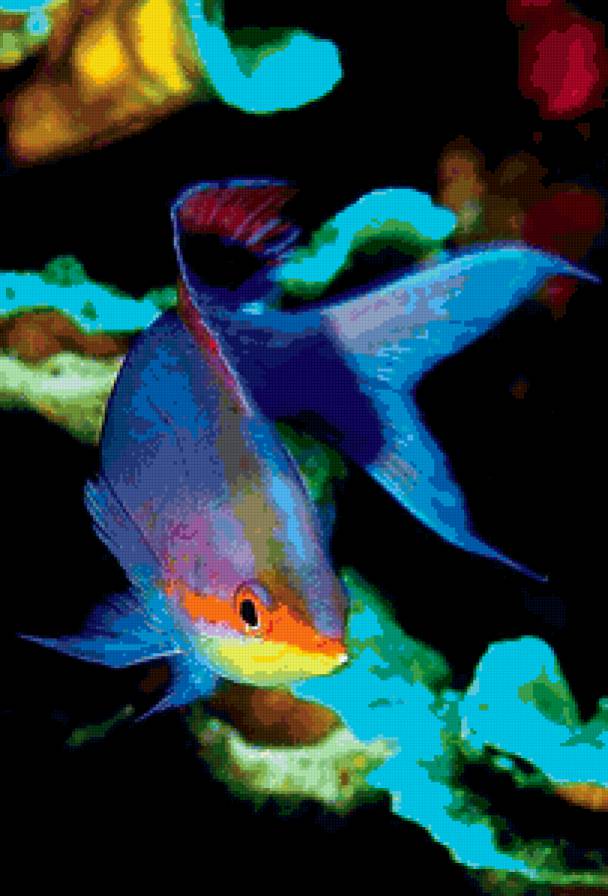 Рыбка - рыбки, море - предпросмотр