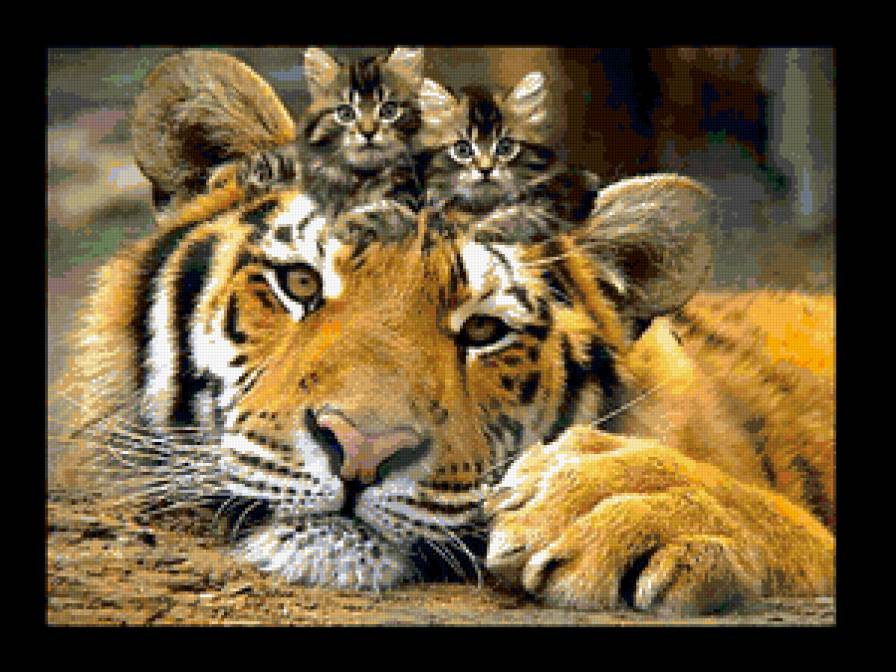 Tiger - предпросмотр