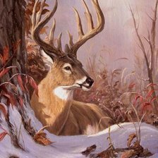 Схема вышивки «оленька»