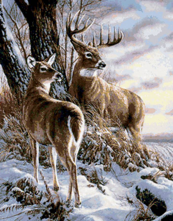 оленюшки - предпросмотр