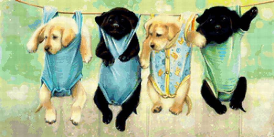 Щенята - собака - предпросмотр