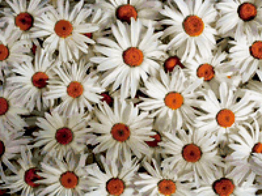 ромашки - подушка, цветы - предпросмотр