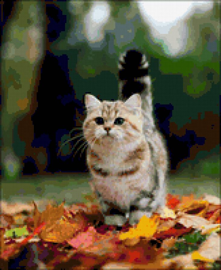 №270723 - кот - предпросмотр