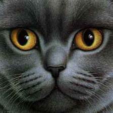 Схема вышивки «Взгляд»