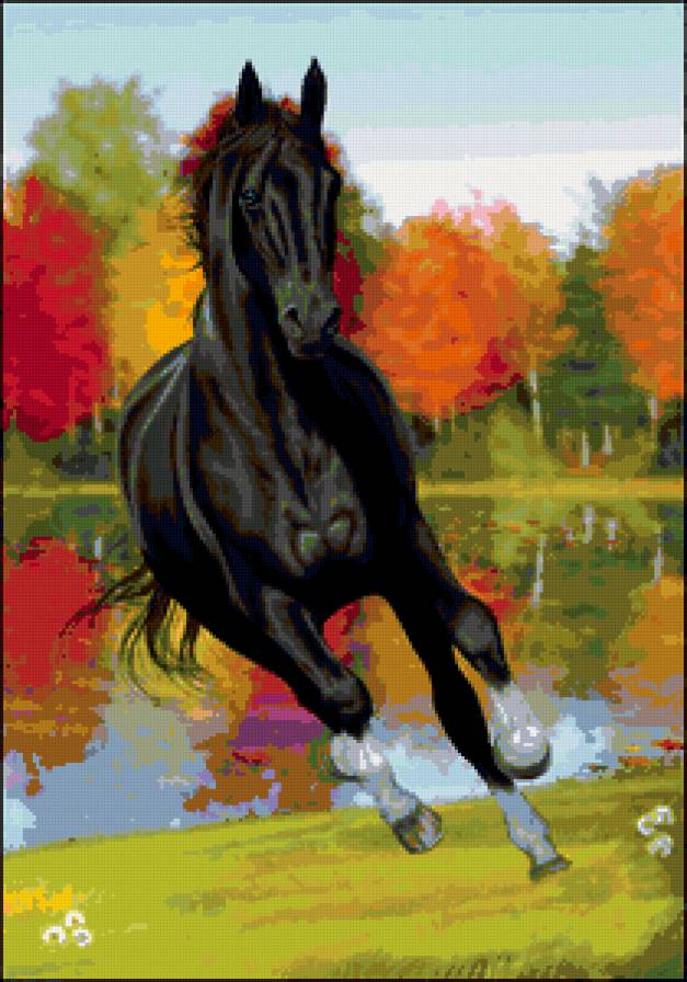 лошадка - лошади, кони, конь, животные, лошадь - предпросмотр