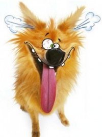 юмор - оригинал