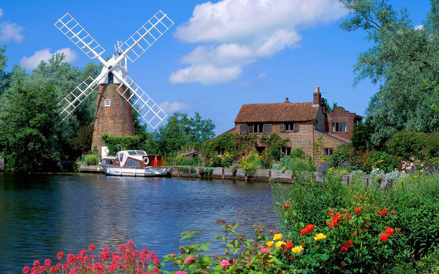 красота - картина - оригинал