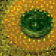 Предпросмотр схемы вышивки «подсолнухи» (№271089)