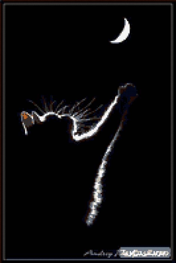 ночка - ночь.кошки - предпросмотр