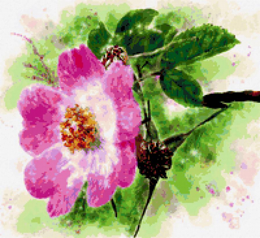 акварель - дикая, цветок, шиповник, роза - предпросмотр
