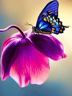 Бабочка и цветок - цветок, картина, природа, бабочка - оригинал