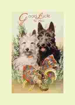 Открытка с собаками - открытка, скотч, собаки, щенки - оригинал