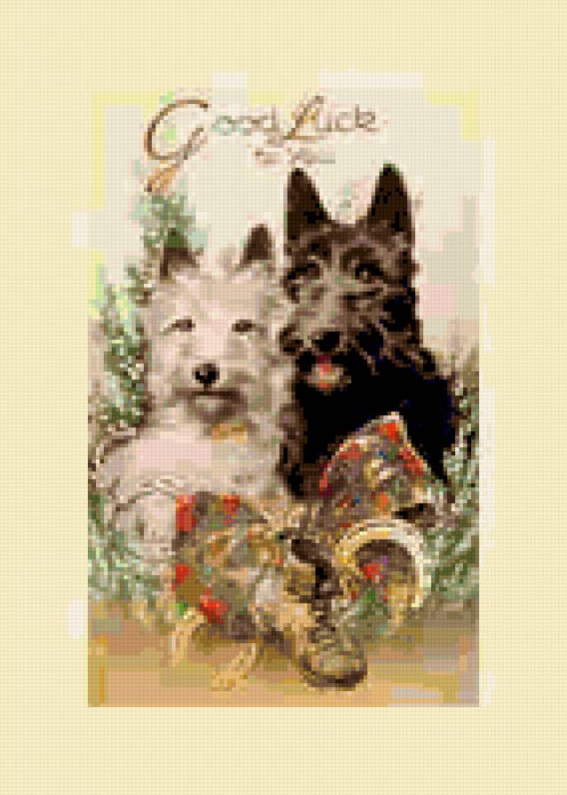 Открытка с собаками - открытка, собаки, скотч, щенки - предпросмотр